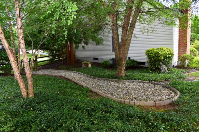 landscaping ideas around tree roots