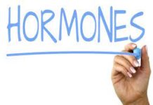 5 Effective Ways to Boost Your Hormones Hormones
