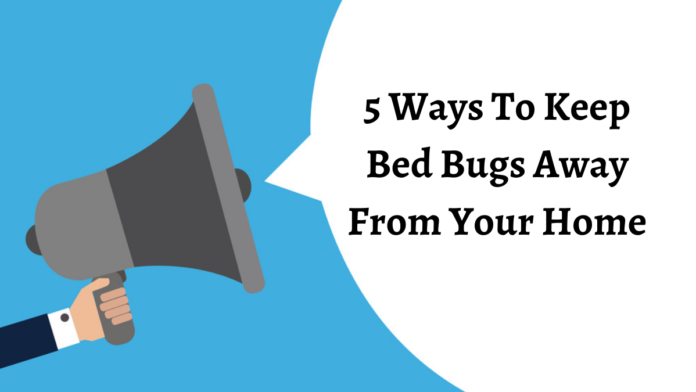5 Ways To Keep Bed Bugs Away From Your Home