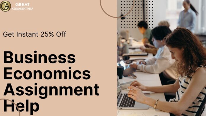 Business Economics Assignment