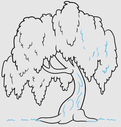 Draw A Willow Tree