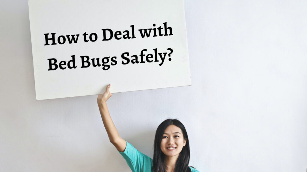 Deal with Bed Bugs