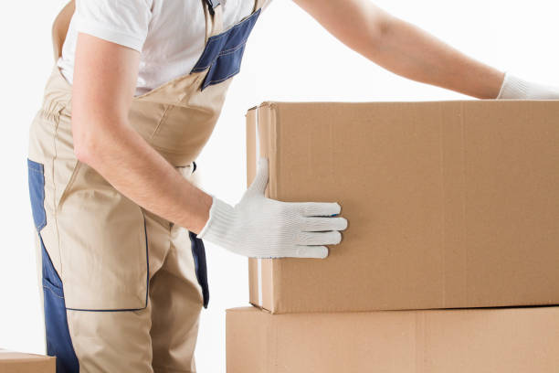 Packers and Movers in Rohtak