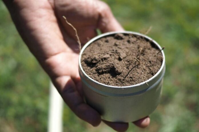 Soil Sample