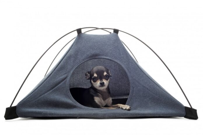 Igloo dog bed