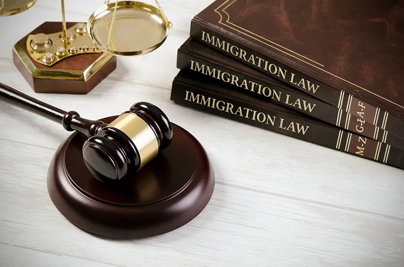 Immigration Lawyers Can Help You With These Six Issues