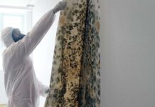 The Cost of Ignoring Moisture Trapped Behind Walls Moisture Trapped Behind Walls