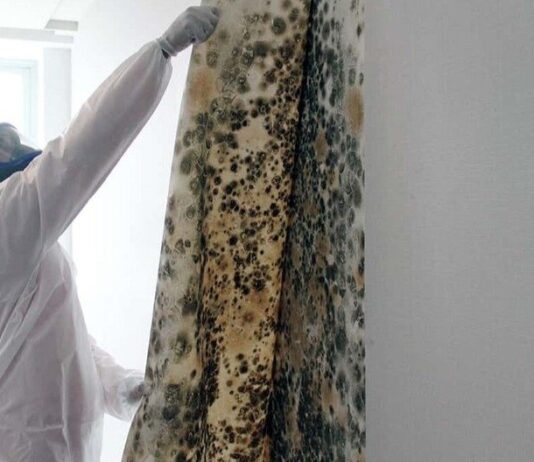 The Cost of Ignoring Moisture Trapped Behind Walls Moisture Trapped Behind Walls