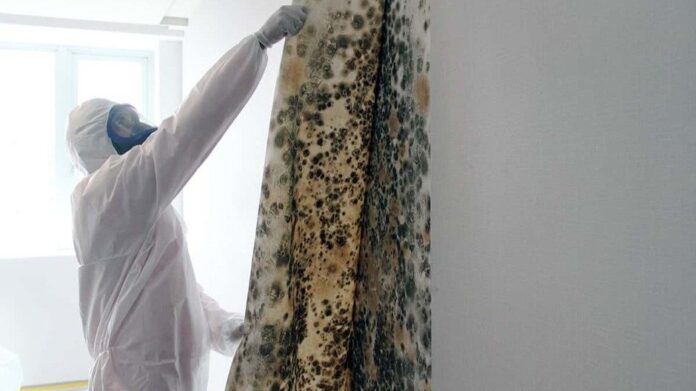 The Cost of Ignoring Moisture Trapped Behind Walls Moisture Trapped Behind Walls